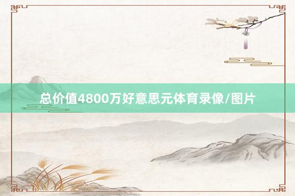 总价值4800万好意思元体育录像/图片