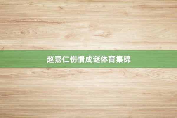 赵嘉仁伤情成谜体育集锦