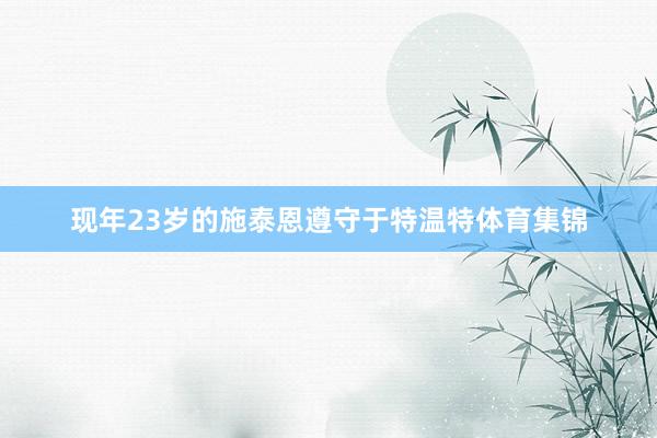 现年23岁的施泰恩遵守于特温特体育集锦