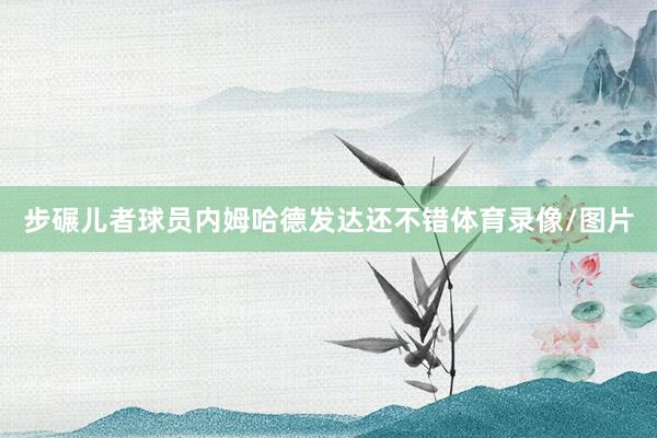 步碾儿者球员内姆哈德发达还不错体育录像/图片