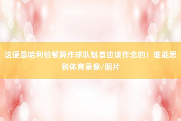 这便是哈利伯顿算作球队魁首应该作念的!谁能思到体育录像/图片