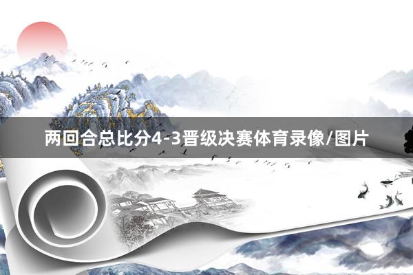 两回合总比分4-3晋级决赛体育录像/图片