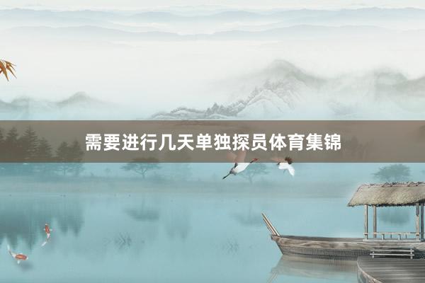 需要进行几天单独探员体育集锦