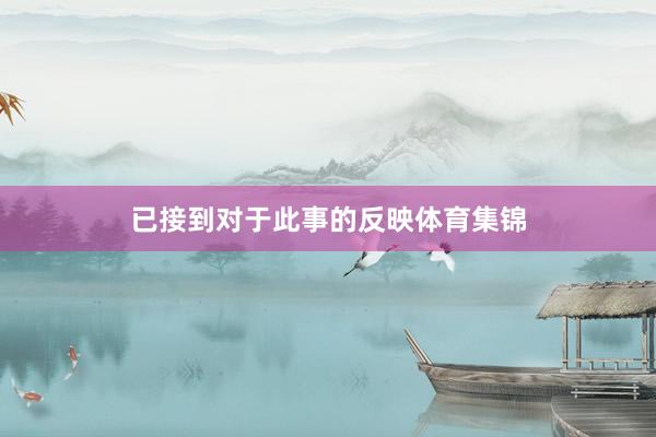 已接到对于此事的反映体育集锦