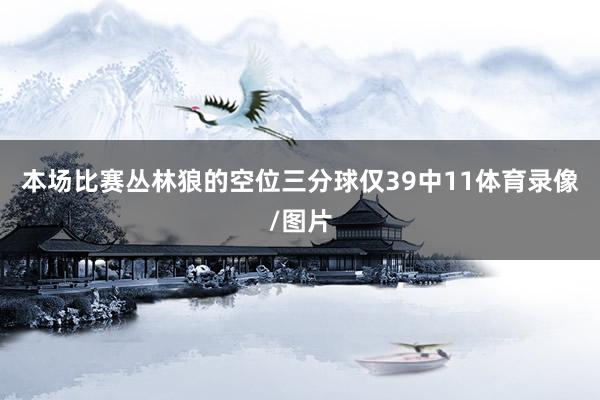 本场比赛丛林狼的空位三分球仅39中11体育录像/图片