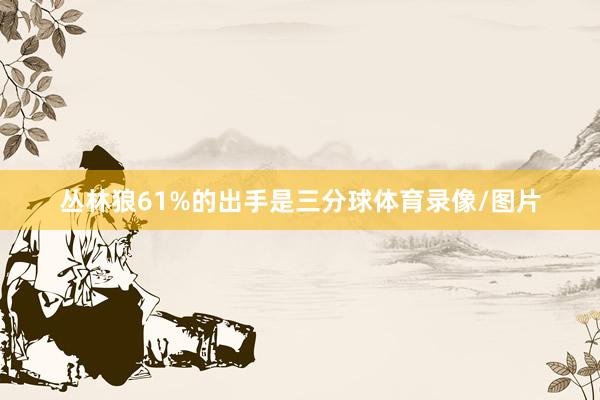 丛林狼61%的出手是三分球体育录像/图片