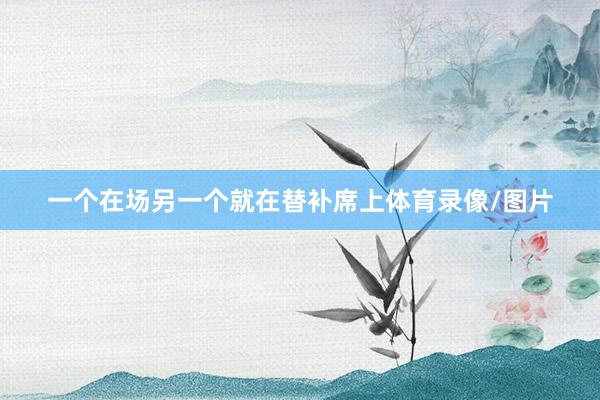 一个在场另一个就在替补席上体育录像/图片