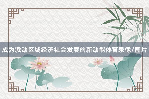 成为激动区域经济社会发展的新动能体育录像/图片
