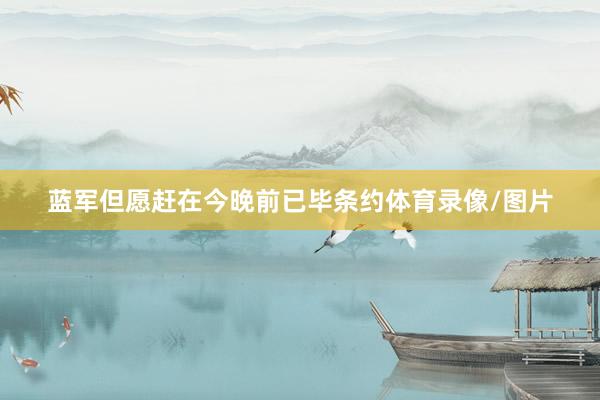 蓝军但愿赶在今晚前已毕条约体育录像/图片