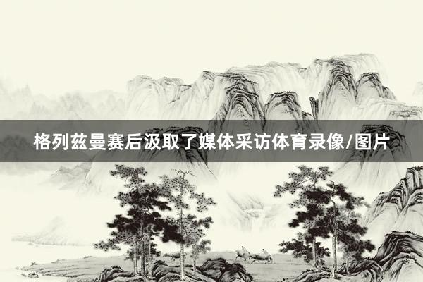 格列兹曼赛后汲取了媒体采访体育录像/图片