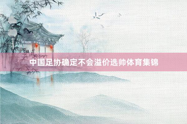 中国足协确定不会溢价选帅体育集锦