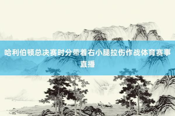 哈利伯顿总决赛时分带着右小腿拉伤作战体育赛事直播