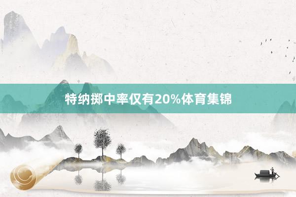 特纳掷中率仅有20%体育集锦