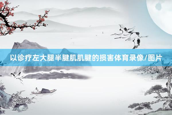 以诊疗左大腿半腱肌肌腱的损害体育录像/图片