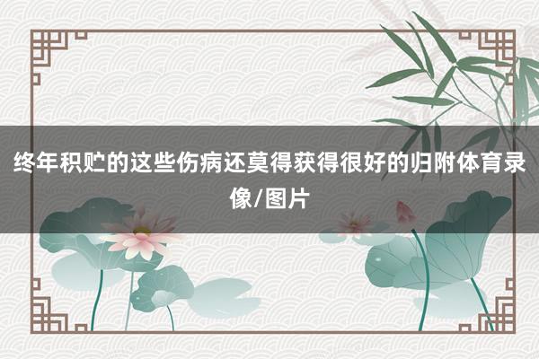 终年积贮的这些伤病还莫得获得很好的归附体育录像/图片