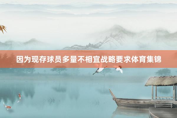 因为现存球员多量不相宜战略要求体育集锦