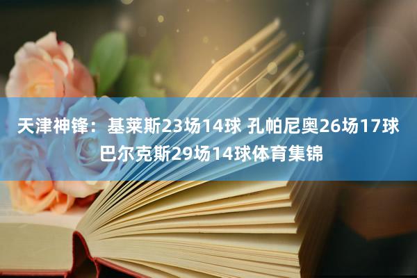 天津神锋：基莱斯23场14球 孔帕尼奥26场17球 巴尔克斯29场14球体育集锦