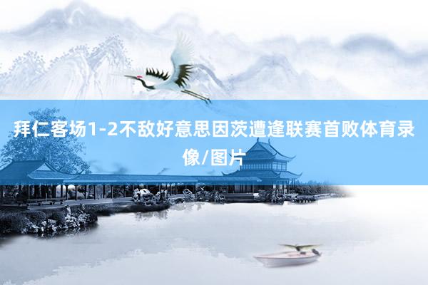 拜仁客场1-2不敌好意思因茨遭逢联赛首败体育录像/图片