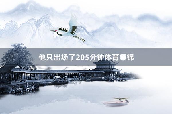他只出场了205分钟体育集锦