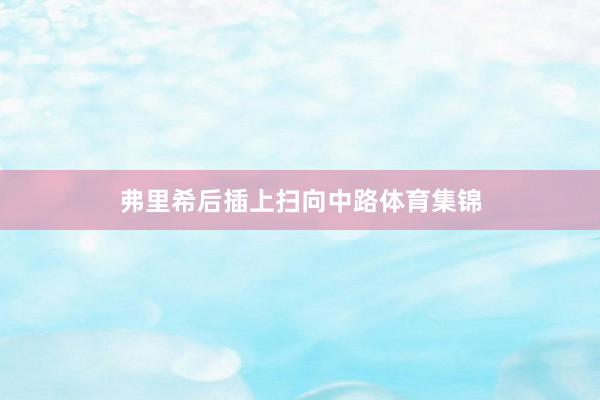 弗里希后插上扫向中路体育集锦