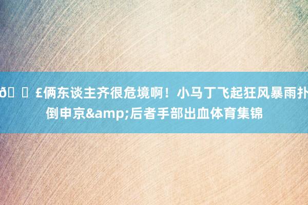 😣俩东谈主齐很危境啊！小马丁飞起狂风暴雨扑倒申京&后者手部出血体育集锦