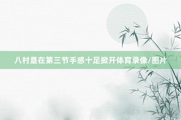 八村塁在第三节手感十足掀开体育录像/图片