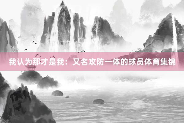 我认为那才是我:又名攻防一体的球员体育集锦