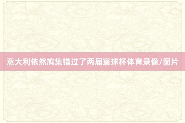 意大利依然鸠集错过了两届寰球杯体育录像/图片