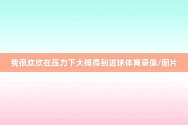 我很欢欣在压力下大概得到进球体育录像/图片