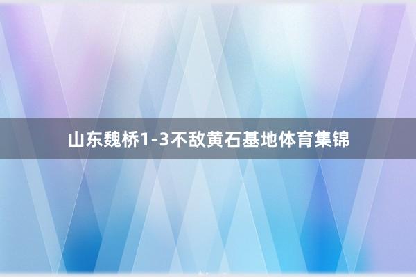 山东魏桥1-3不敌黄石基地体育集锦